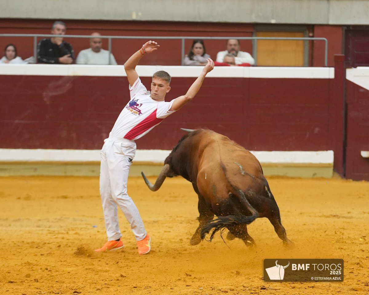 [ 📸 𝗘𝗡 𝗜𝗠𝗔́𝗚𝗘𝗡𝗘𝗦 ]

Así hemos vivido el Concurso de recortadores “𝗠𝗮𝗲𝘀𝘁𝗿𝗼𝘀 𝗱𝗲 𝗹𝗮 𝗰𝗮𝗹𝗹𝗲” en La Ribera