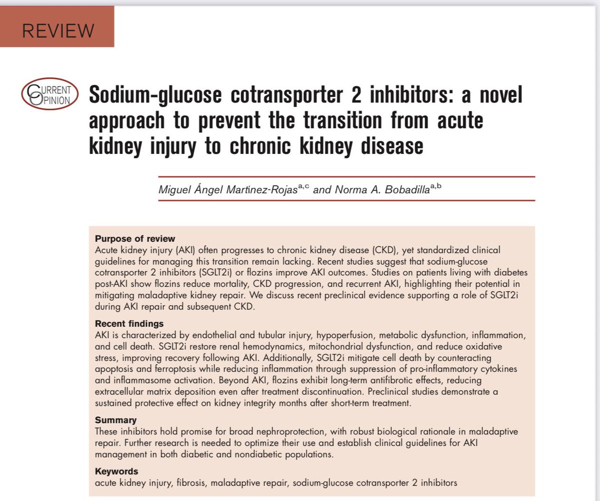 Científicos de fisiología molecular del INNSZ publican una revisión sobre el efecto que pudieran tener los iSGLT2 en la transición de lesión renal aguda a crónica.

Curr Opin Nephrol Hypertens 2025
10.1097MNH.0000000000001080