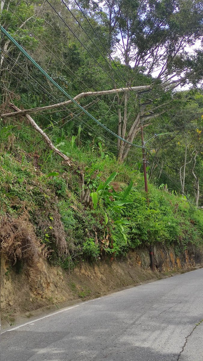 Más de una semana reportando este árbol caído sobre los cables y con riesgo de que caiga sobre un carro o motorizado y nada que lo quitan <a href="/ServiciosEH/">ServiciosElHatillo</a> <a href="/CorpoelecInfo/">Corpoelec Informa</a> <a href="/ElHatillo/">Alcaldía El Hatillo</a>