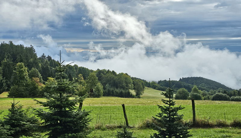 gail dutton tweet media