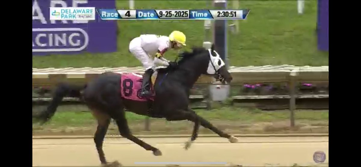 Wow - what is THAT?  Is that a SMILE?  🤣🤣🤣 nice job DC! <a href="/jockeydcenteno/">Daniel Centeno</a> <a href="/whatthebrooklyn/">Brooke Centeno</a>