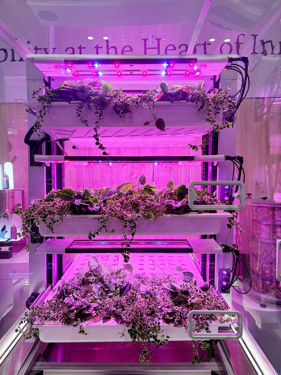 Interstellar Lab tweet media