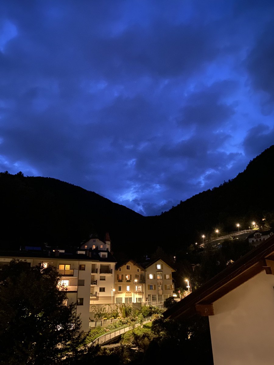 Sonia Zuccaro tweet media