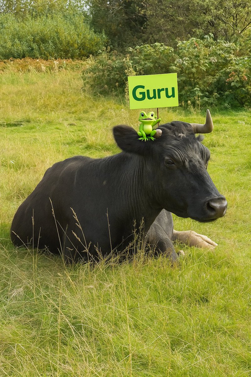 gorshoshekvari's tweet image. 🐸+🐂 = Kuru vibes

The frog holds the bull, and we hold the liquidity💪🏻

#KuruExchange #MonadNetwork #DeFiFan #Paradigm