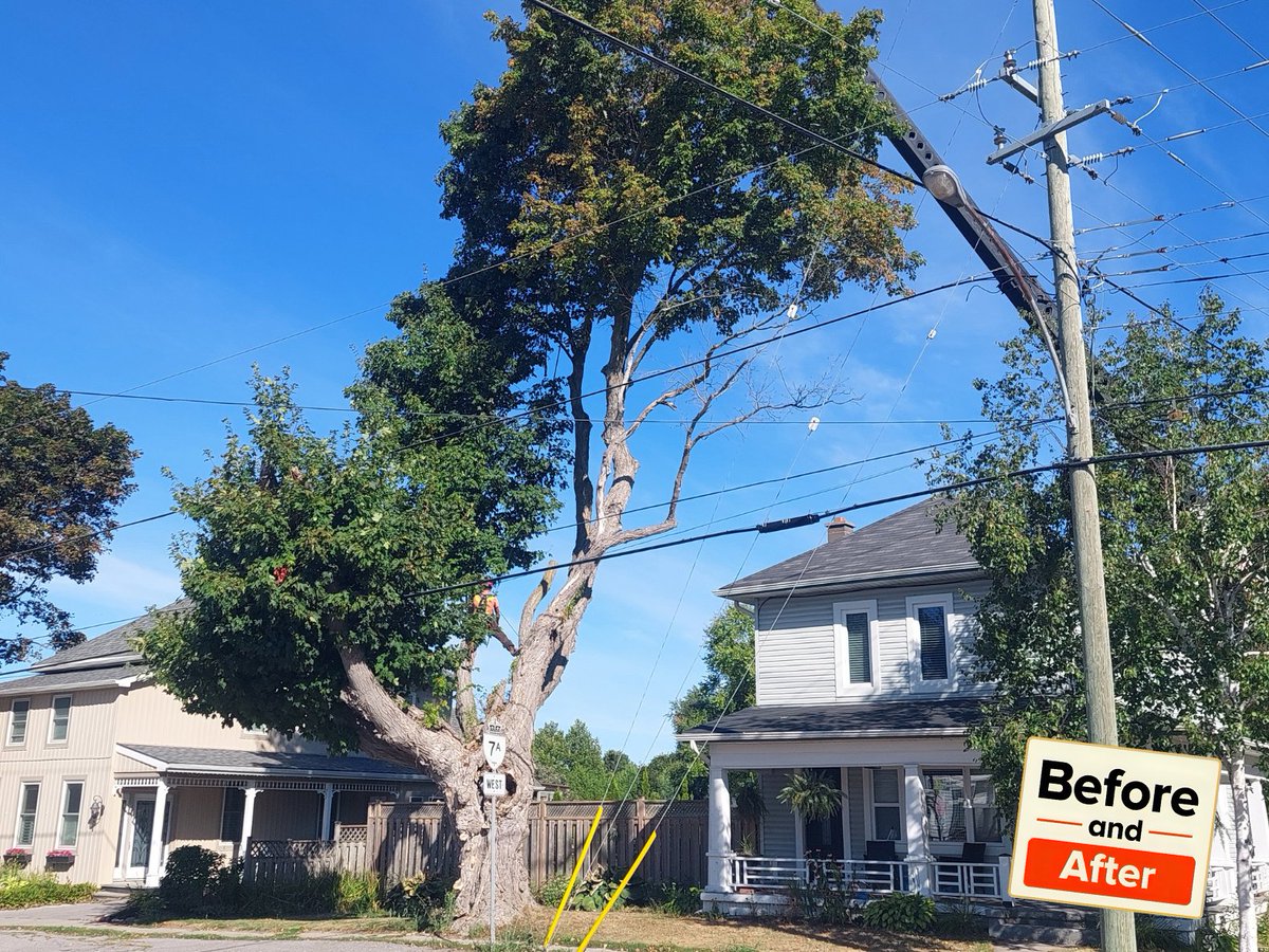 The Miller Group tweet media