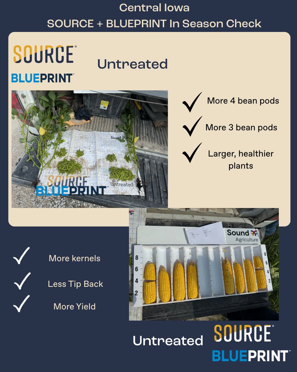 🌱 Central Iowa results are in:
 ✨ SOURCE® + BLUEPRINT™ treated beans = more 4-pod plants &amp; bigger 3-pod volume
 🌽 Corn showed an estimated 7+ bu advantage
That’s agronomic + economic ROI you can see in the field.
 👉 bit.ly/41FIZ3X
 #YieldBoost #AgInnovation