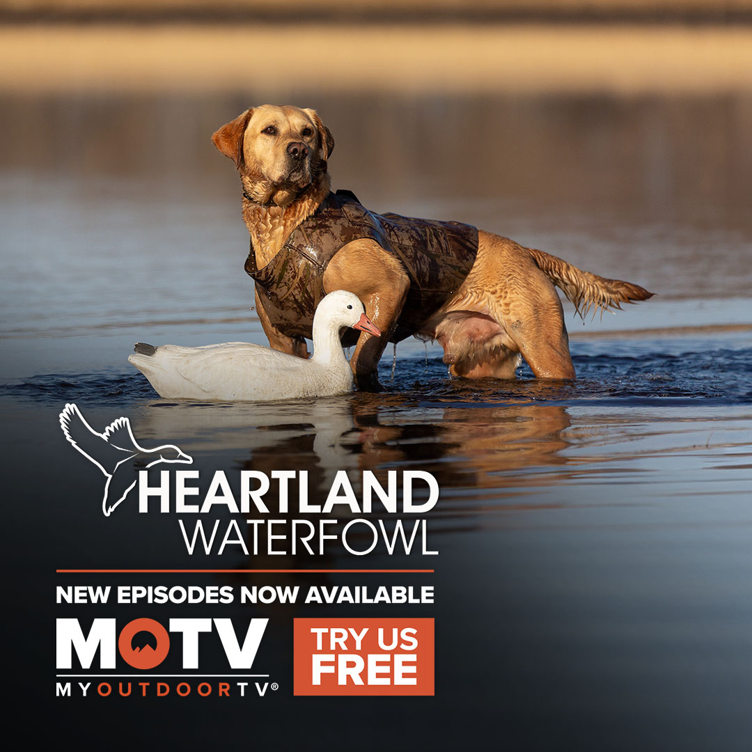 MyOutdoorTV tweet media