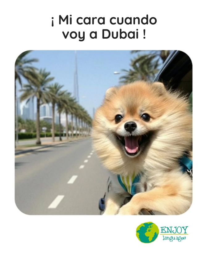 EnjoyLangTuxtla's tweet image. 🌇😄 Take me to Dubai !!
#WorkandStudy #EstudiaenDubai #Habibi