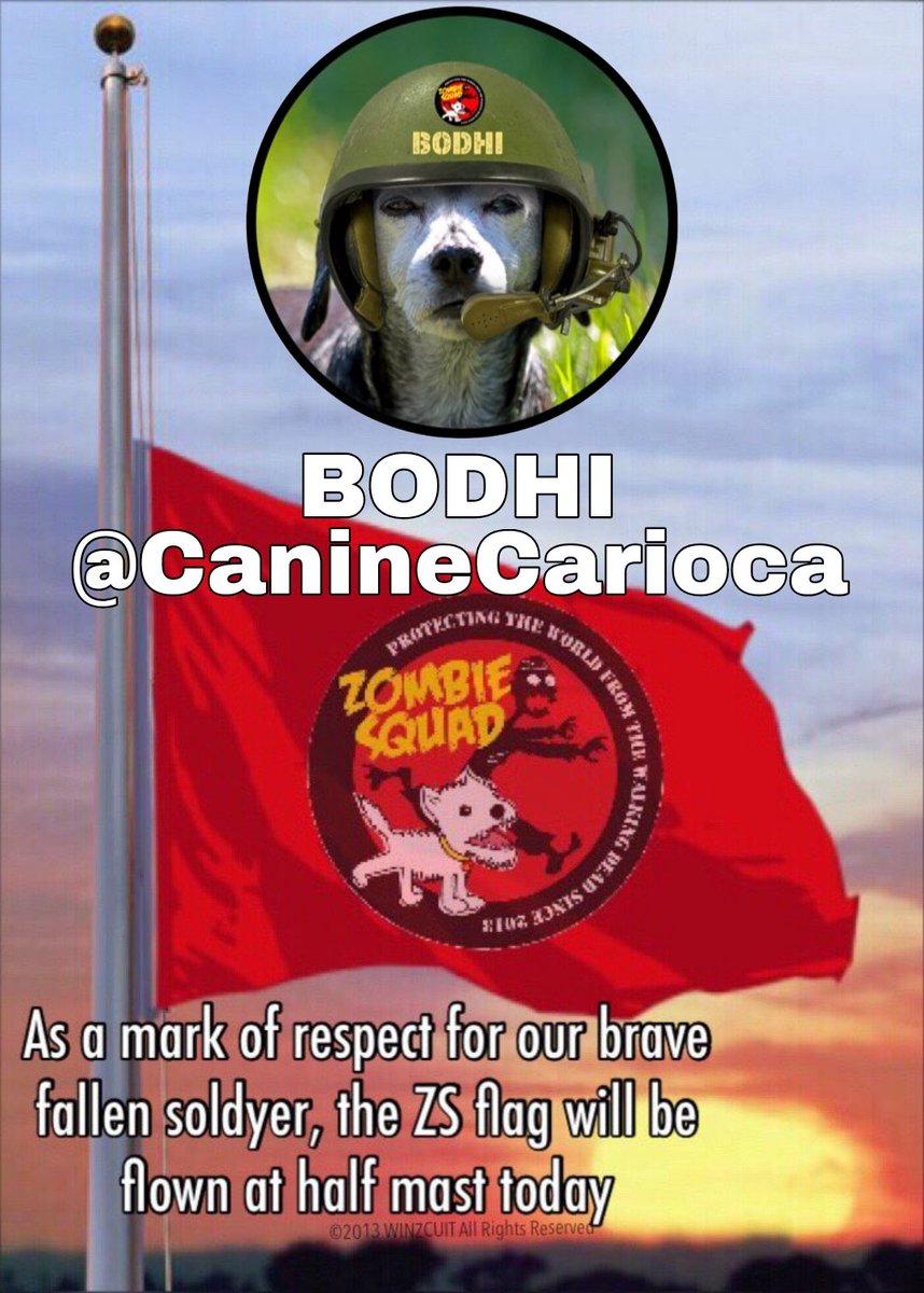 ZombieSquadHQ's tweet photo. 💔HQ sadly lowers flag for SERGEANT BODHI 
@CanineCarioca 
 who aged 17 years has crossed 🌈Bridge to be reunited with his immortal friends in #ZSHQ #OTRB 🌈 Brigade . Please dedicate your next patrol to BODHI and hold DAD, family & friends in your thoughts. 
ZOMBIESQUAD FOREVER 🫡💚🐾