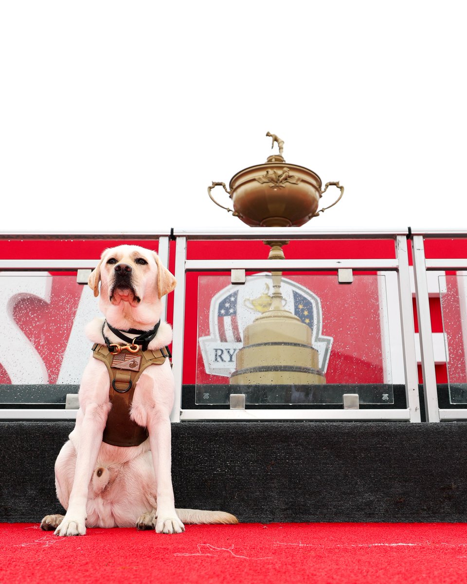 Ryder Pup 🇺🇸🏆

#RyderCup | #GoUSA