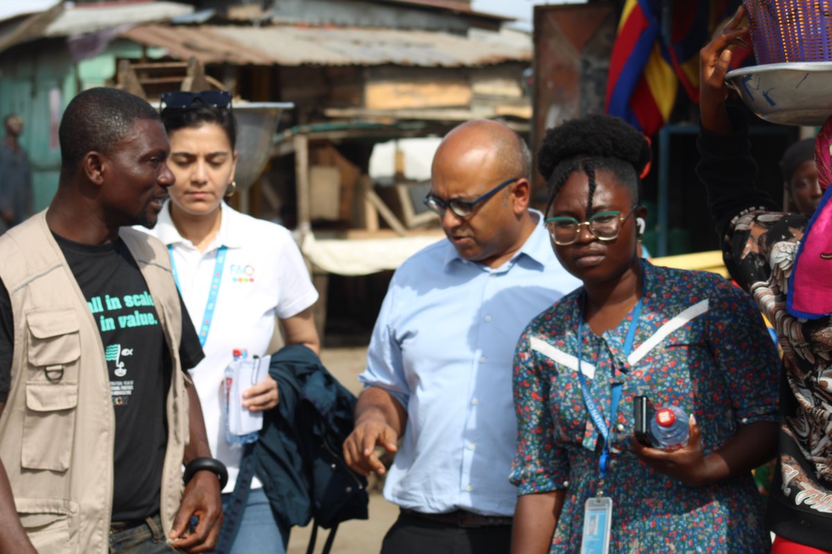 FAOGhana's tweet image. 🇺🇳🤝🇬🇭 UN Resident Coordinator @ZiaChoudhury &amp;amp; FAOR @priyagujadhur visited Tema New Town to engage fish processors &amp;amp; women leaders.

FAO support has trained over 4k fishers &amp;amp; processors, boosting safer food, stronger businesses &amp;amp; empowered communities. 🌍🐟 #SSF #OneUN