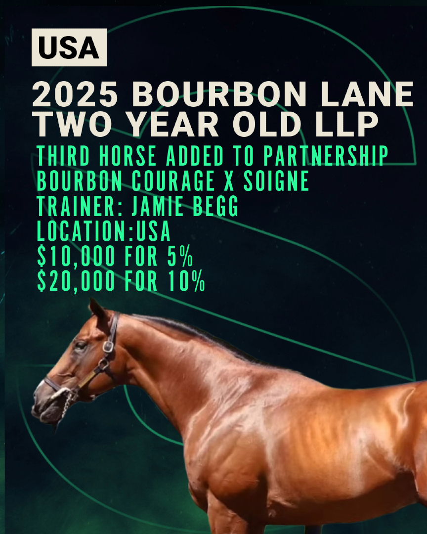 SmartSyndicate_'s tweet image. Third horse added to the 2025 Bourbon Lane Two Year Old LLP. 🐎
This three horse partnership includes a filly by Mendelssohn, with Mark Hennig, a filly by Charlatan going to Ian Wilkes and an NY bred colt out of Soigne with Jamie Begg.

👉 smartsyndicate.co