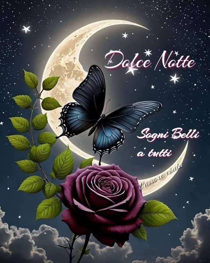 RITABIANCHi56 tweet media