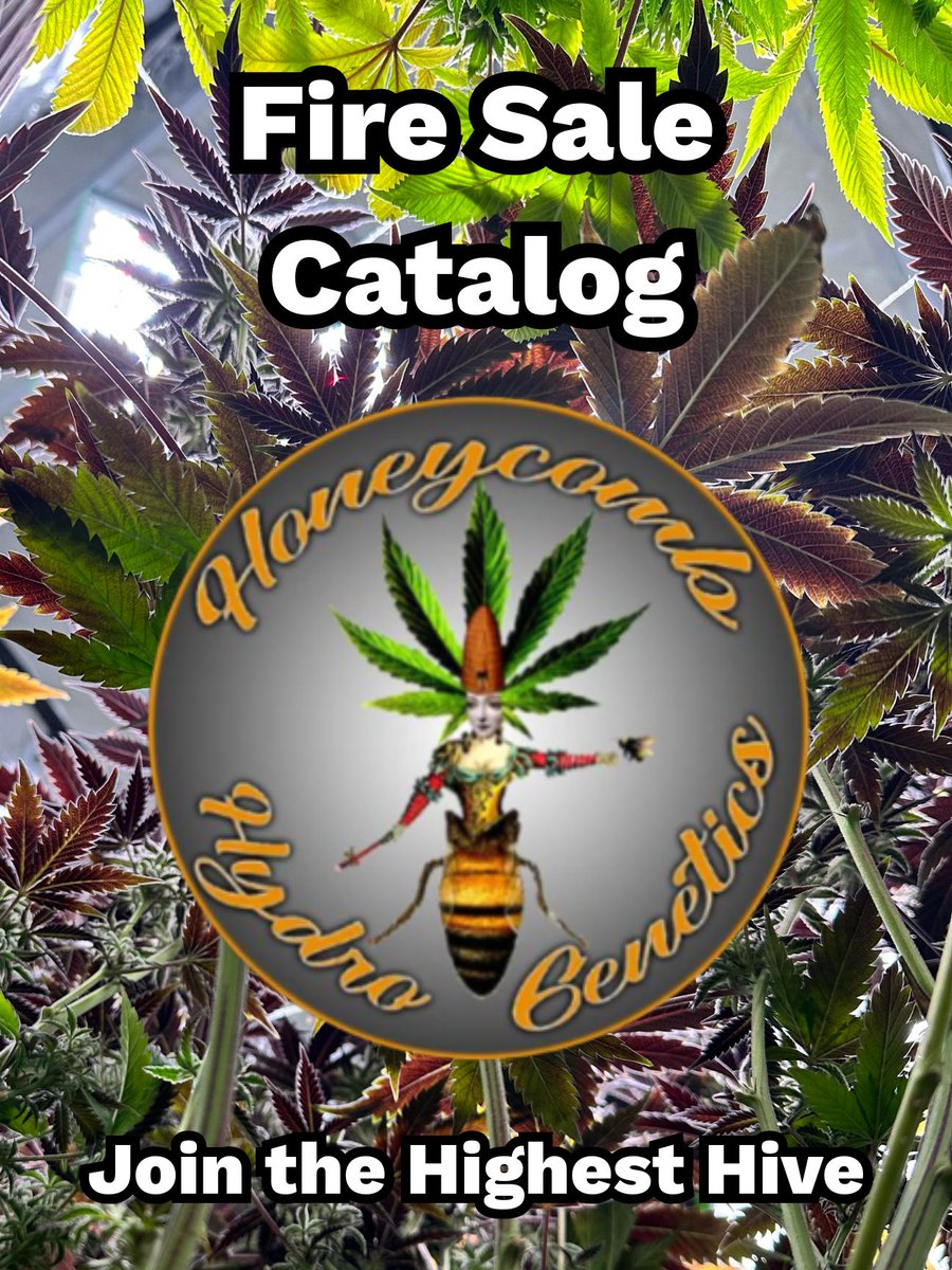 👀Need some QUALITY 🧬🧬?
👇We got you covered! Check out our catalog👇
heyzine.com/flip-book/c542…