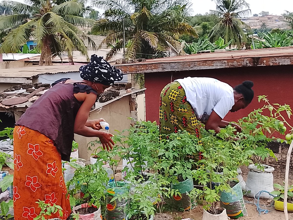 KobenaStephane's tweet photo. Le projet social dénommé : LE POTAGER DES FEMMES, consiste à accompagner des femmes vulnérables dans la ville d'Agboville, à la pratique de l'agriculture urbaine écologique dans le but de leur sécurité alimentaire et  autonomisation financière. https://t.co/psdYSvXSGp