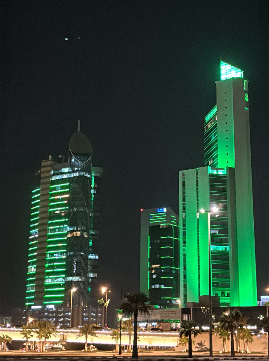 🇸🇦