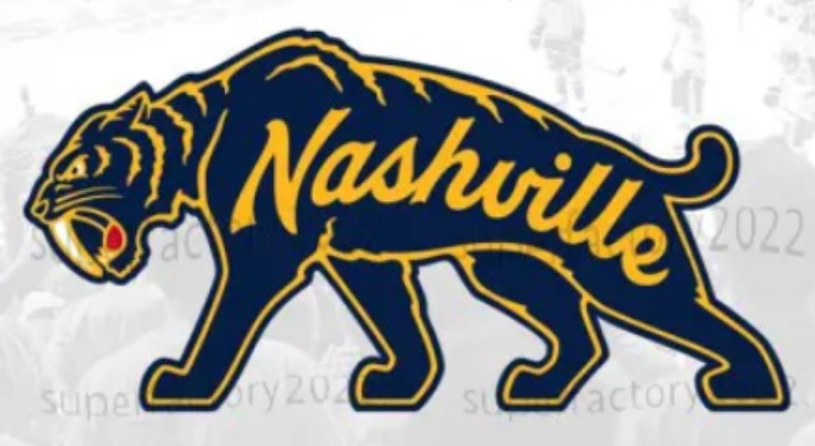 I'm BEGGING for a Nashville Predators vs. Utah Mammoth Winter Classic