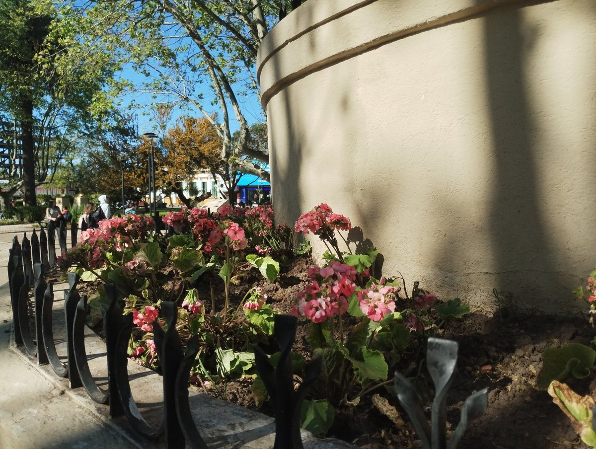 Gero 💜 (@gerowoooo) on Twitter photo 