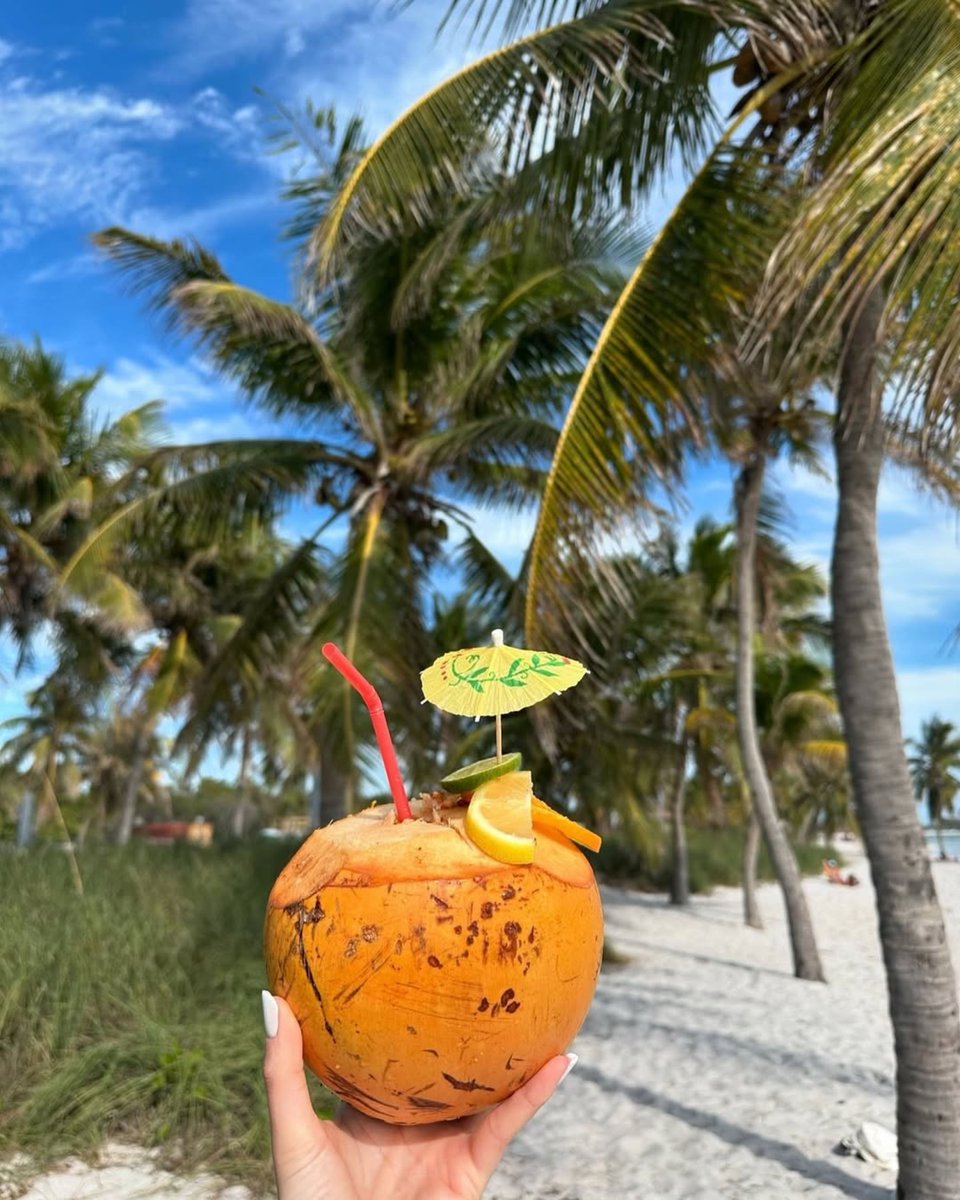 PartyInKeyWest's tweet image. This or a pumpkin spice latte? #keywest #beach #daydrinking

More: PartyinKeyWest.com/wp/
Follow us: @PartyInKeyWest
Hashtag us: #PartyInKeyWest