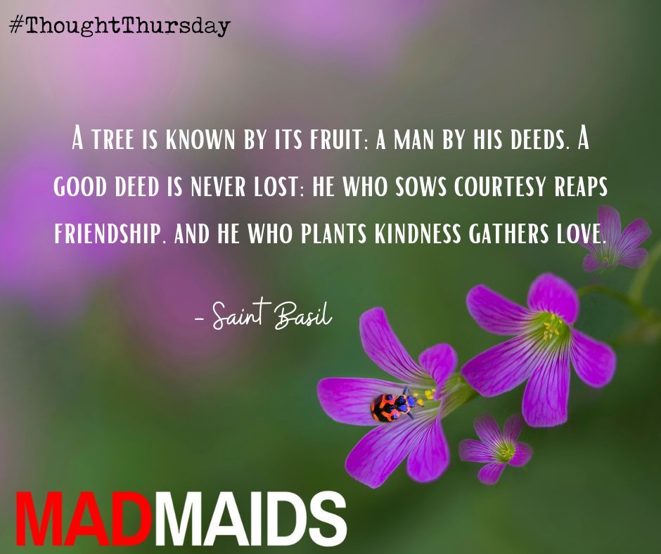 "A tree is known by its fruit; a man by his deeds. A good deed is never lost; he who sows courtesy reaps friendship, and he who plants kindness gathers love." - #SaintBasil
#kindness #friendship #yyc #yeg #madmaids #cleaningservices #satisfactionguaranteed
