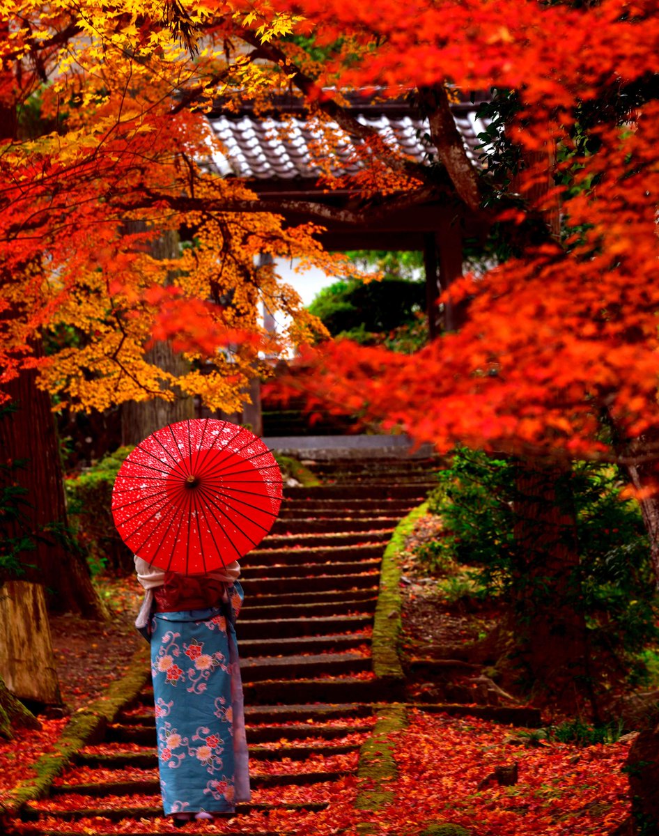 おはようございます！！　　京都南丹龍穏寺が綺麗^^      
よろしければイイネお願いします🙇‍♂️
