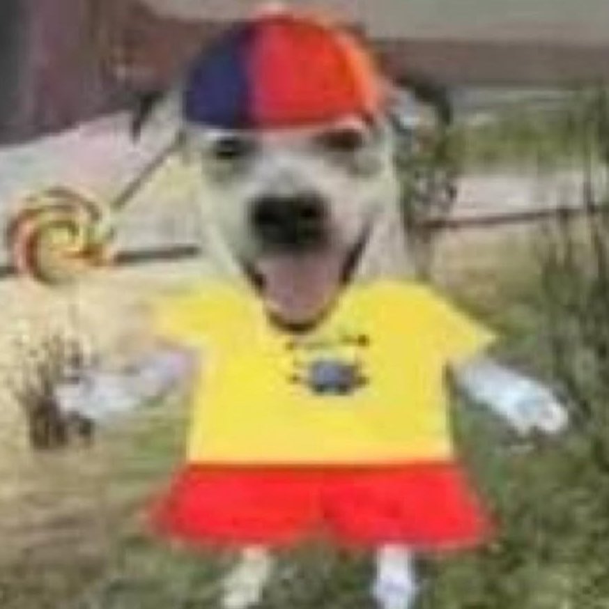 percynotes's tweet image. O ÁLBUM DA MINHA FORMATURA CHEGOU