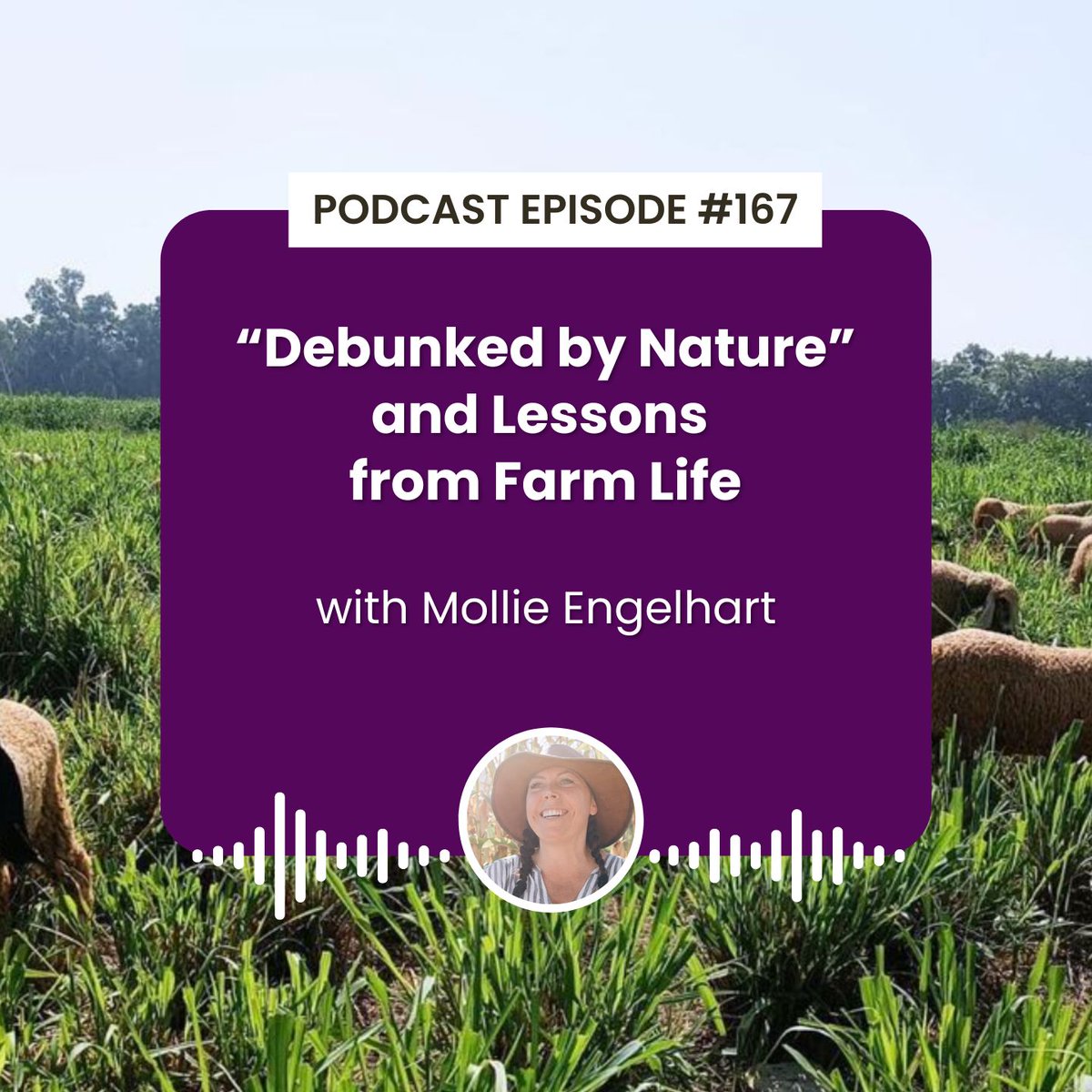 AEA (@advancingecoag) on Twitter photo Mollie Engelhart's journey has come full-circle: she grew up on a farm, launched a vegan restaurant empire in LA, and now she's back on a farm: a Texas ranch where she experiments with regenerative techniques.
On today's podcast, Mollie and <a href="/realJohnKempf/">John Kempf</a> discuss:
➡️ Mollie's Mollie Engelhart's journey has come full-circle: she grew up on a farm, launched a vegan restaurant empire in LA, and now she's back on a farm: a Texas ranch where she experiments with regenerative techniques.
On today's podcast, Mollie and <a href="/realJohnKempf/">John Kempf</a> discuss:
➡️ Mollie's