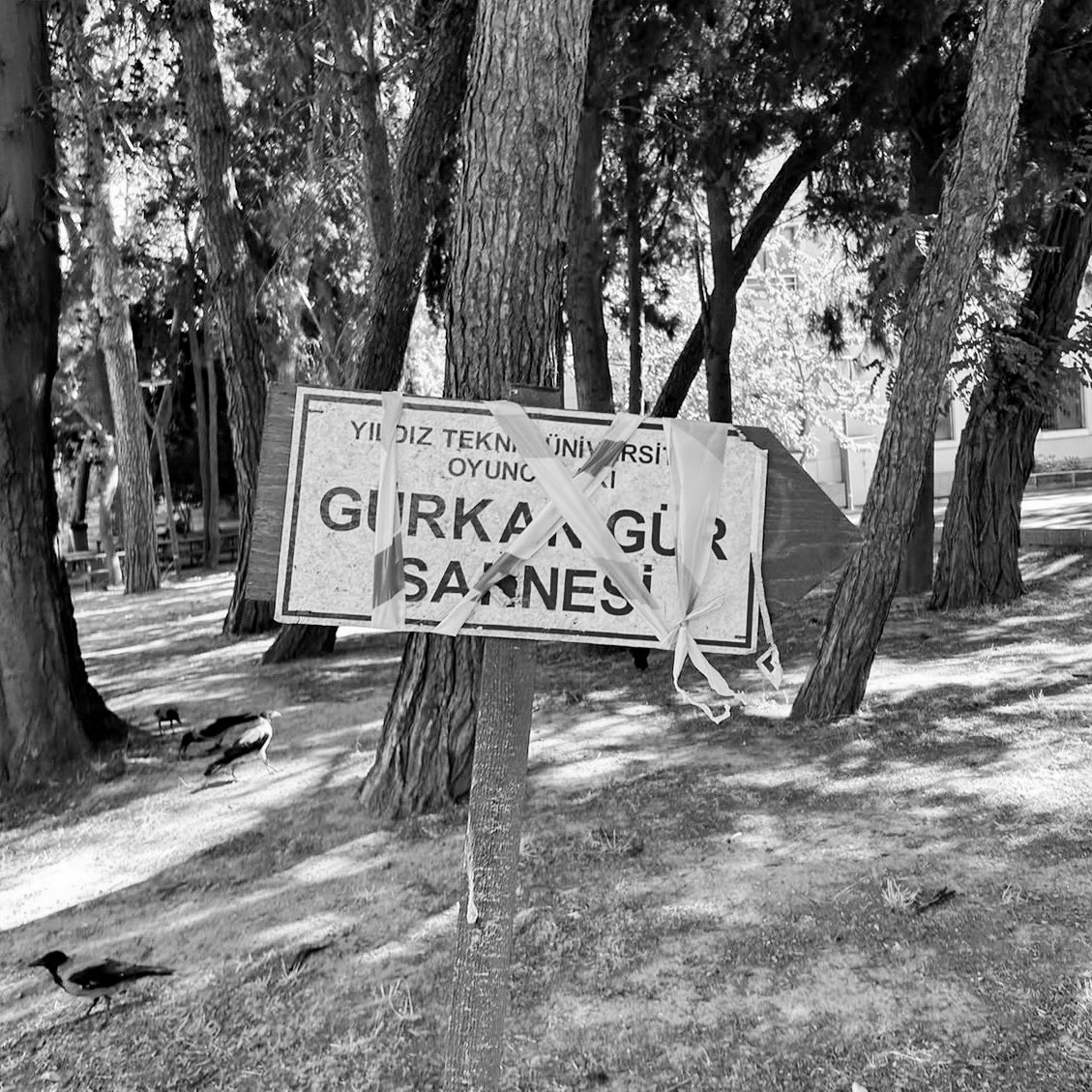 2025-2026 akademik yılının güz dönemini Gürkan Gür dönemi olarak ilan ediyoruz. 

Gürkan Gür, YTÜ Elektrik Mühendisliğinden mezunu, tiyatro yazarı ve oyuncuydu. 

99 depreminde Gölcük’te kayboldu. Kendisinden hala haber alınamıyor.