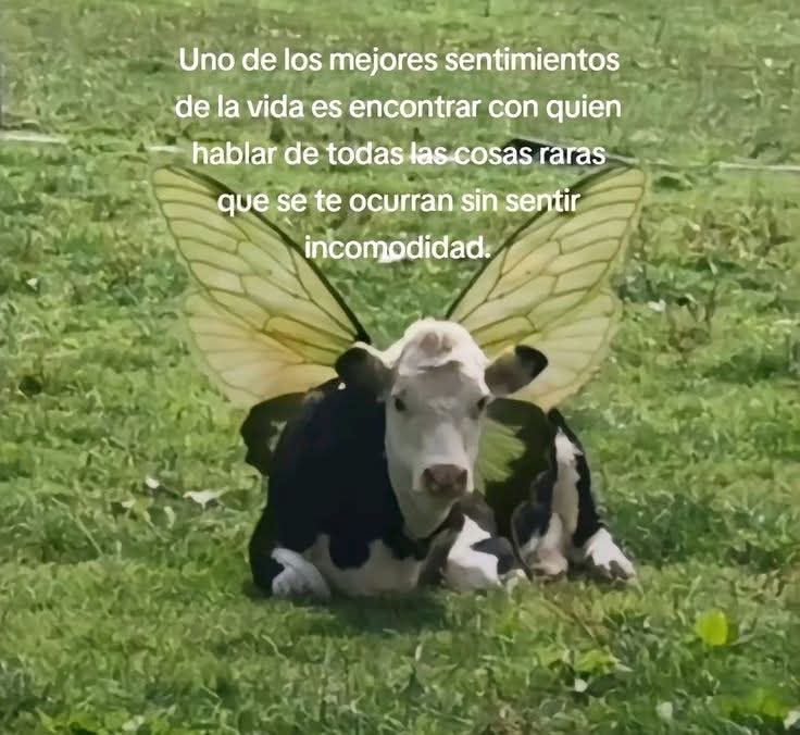 Ojos color sol (@ojoscol0rsol) on Twitter photo 