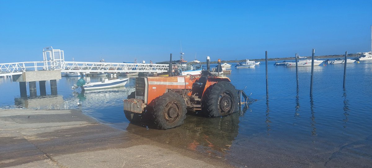 Toni Onsalo 🎸 tweet media