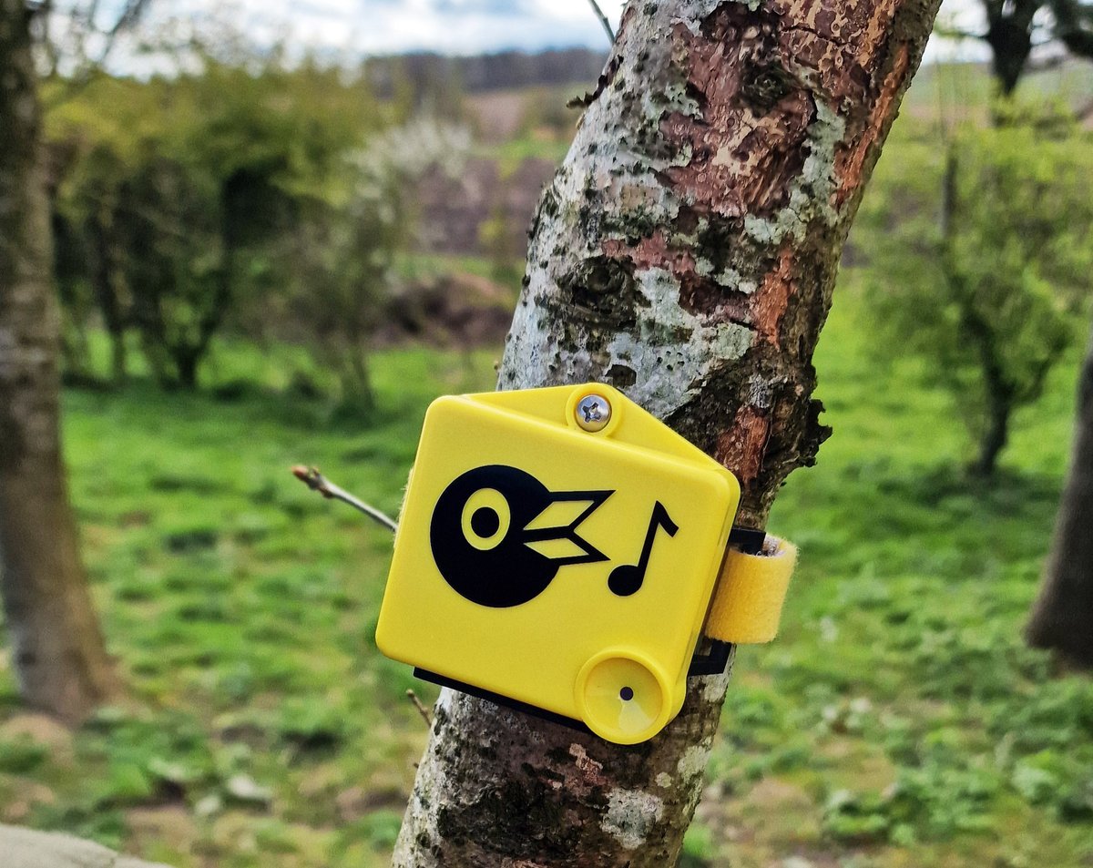 TheDigitalLine's tweet image. Birdsong, Biodiversity &amp;amp; the Future of Smart Sustainability
@TheDigitalLine we track how technological innovation transforms industries
thedigitalline.co.uk/2025/09/22/bir…

#sustainability #innivations #industries #agriculture #crossindustry #chirrupai @wykefarms