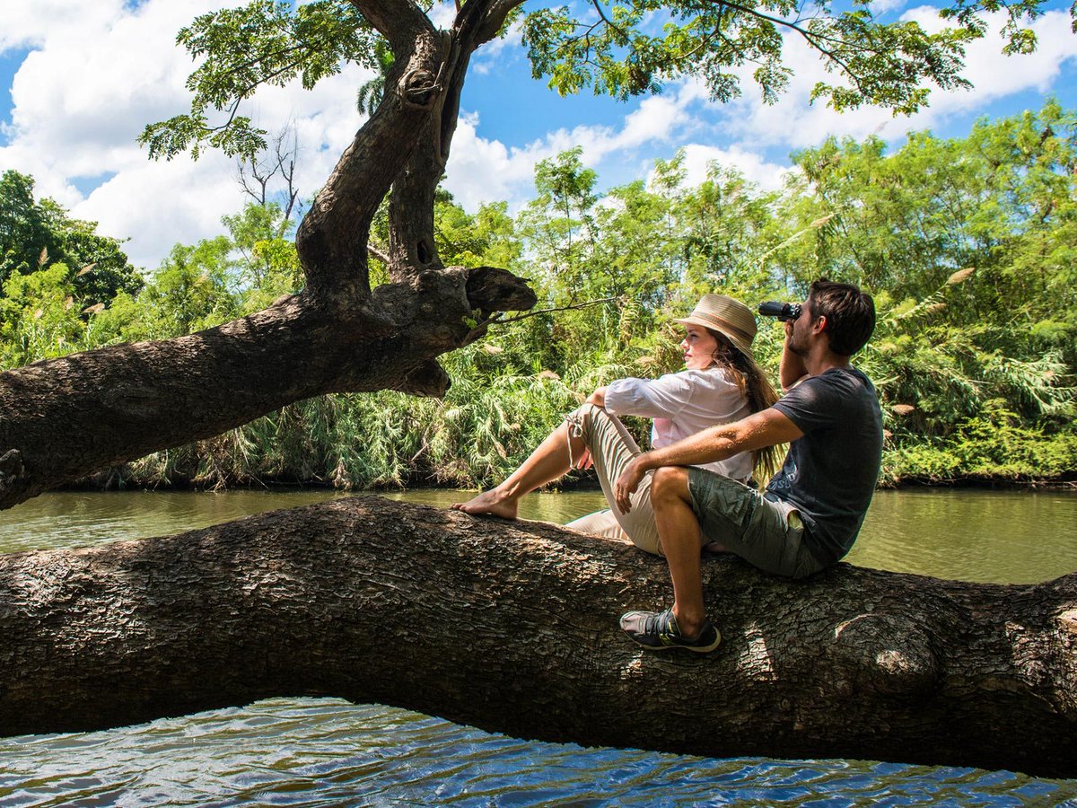 ✈️¡Cuba te está llamando! 🤩 Imagina despertar con vistas espectaculares, explorar paisajes increíbles y relajarte en la naturaleza. 🙋‍♀️¿Quién se apunta a esta aventura? Etiqueta a tus amigos con los que te gustaría ir. 😍

#Naturaleza #ViajarACuba #Cuba #CubaÚnica #CubaTravel