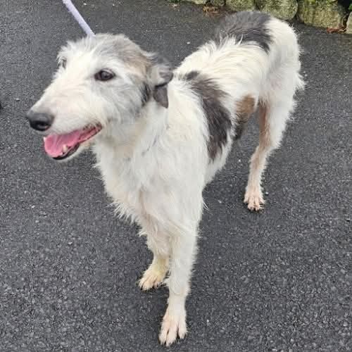 TISH HAS BEEN FOUND ❤❤ 
#REUNITED 
Wonderful this girl is safely home ❤❤❤