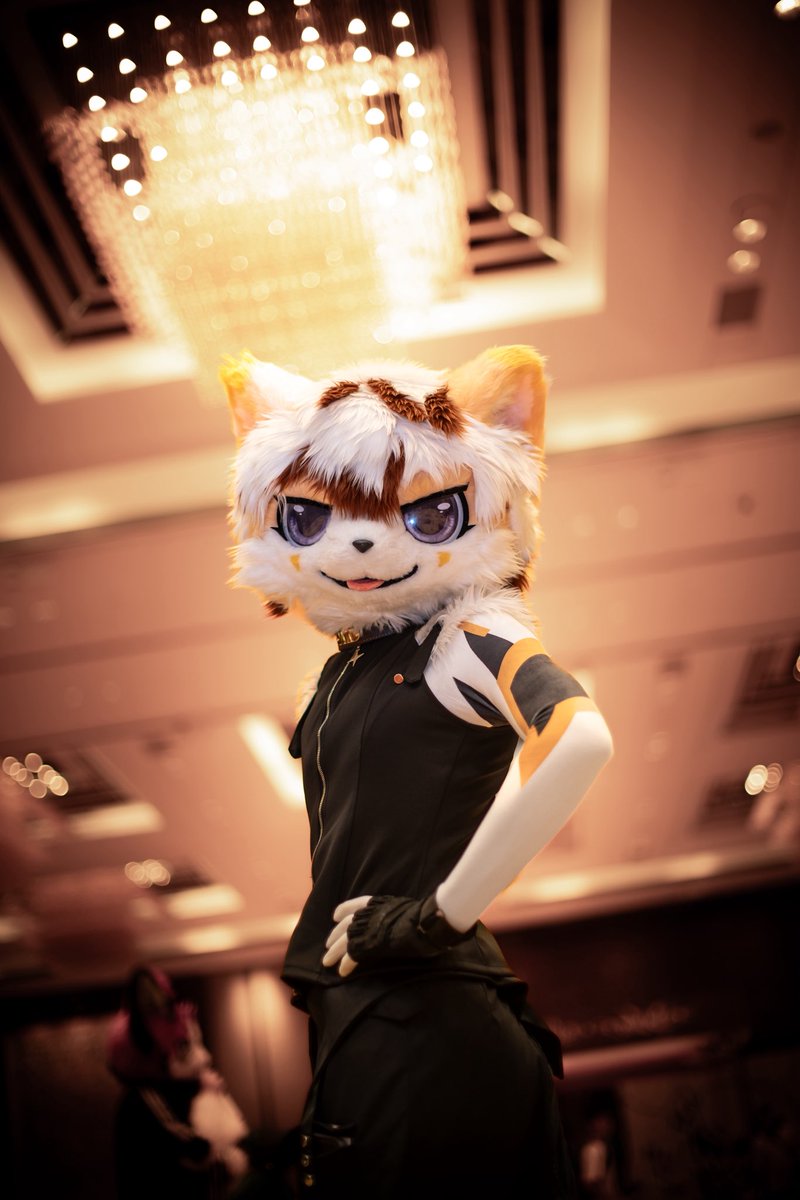 和我一起 With me.
📷：<a href="/OGWOLF_yueyin/">狼叔/晴夜</a> 
#FursuitsFriday