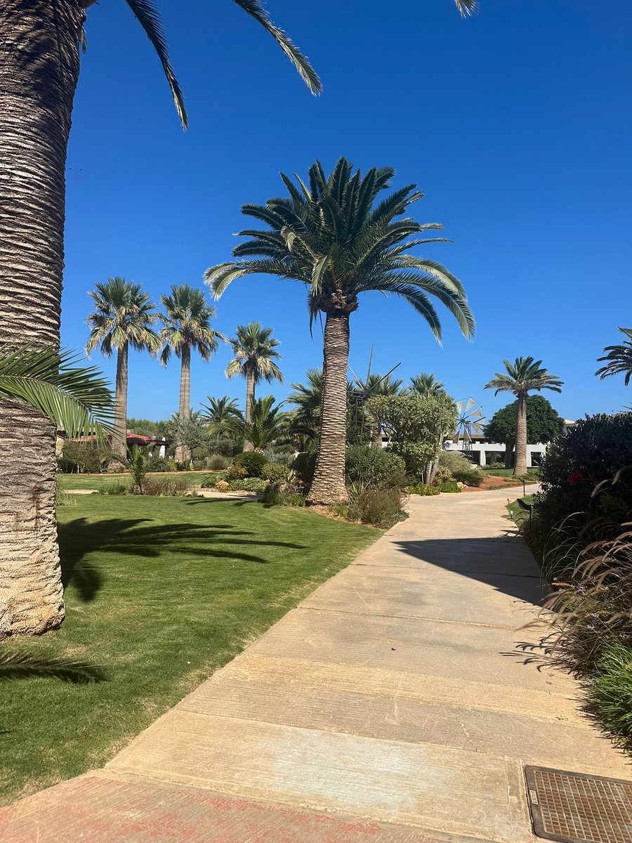 DeltaRiptide tweet media