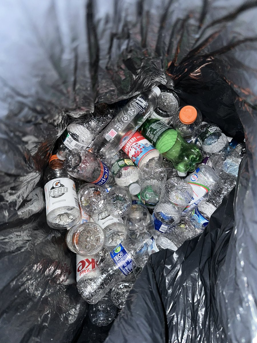 Caitlin Anetrella tweet media