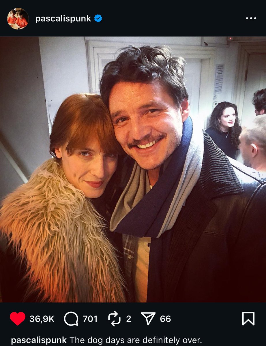 the dog days are definitely over 😭😭😭