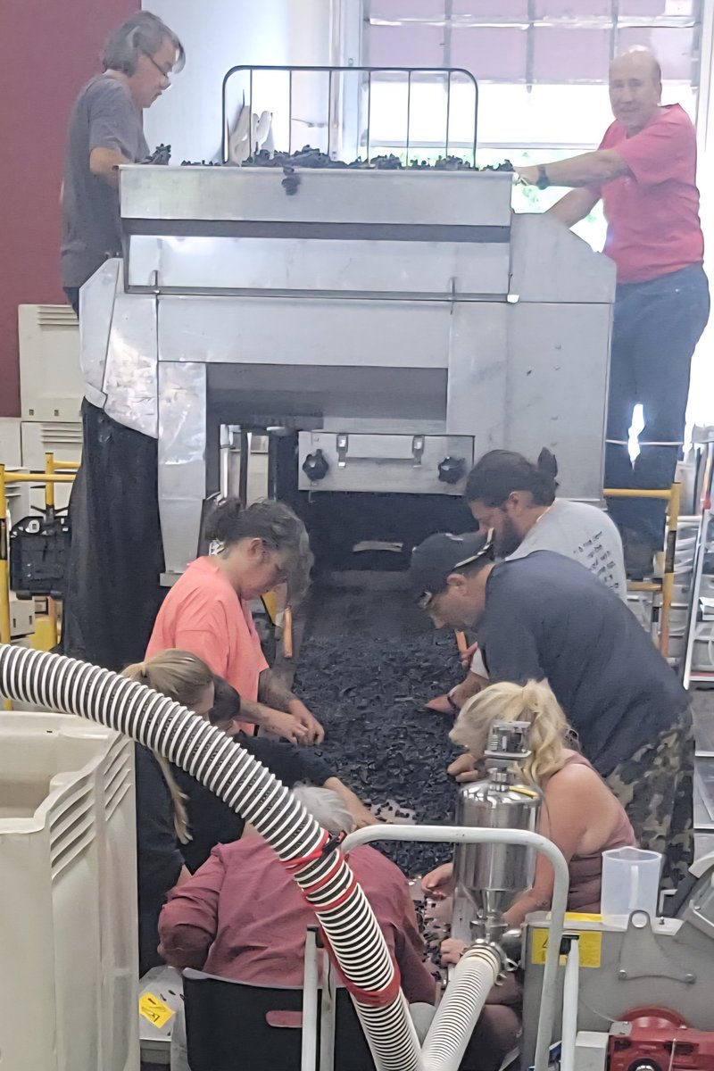 Sangiovese harvest and crush season is in full swing at Martedi Winery. We arrived at the right time to the right place. We got lucky.