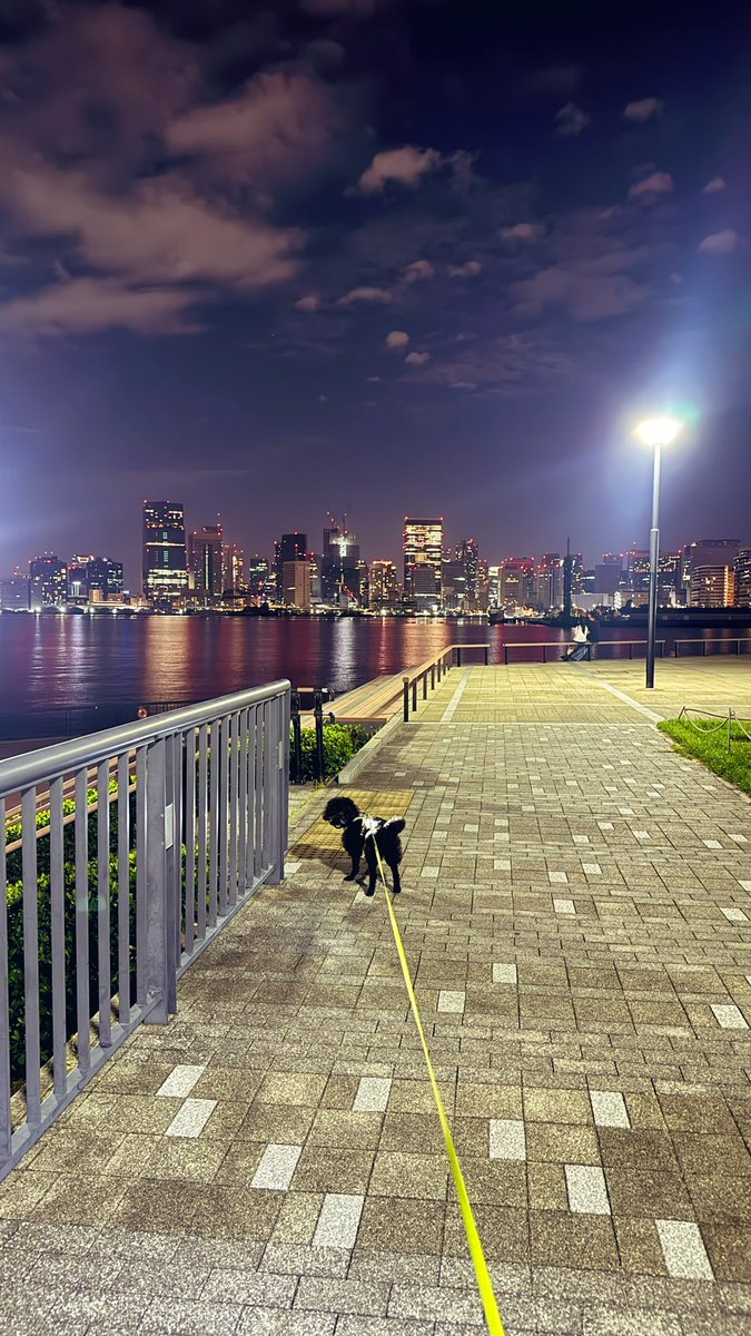 豊洲ぐるり公園をお散歩してきたよ