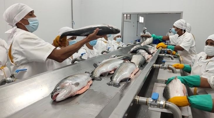 ✨ Beneficios:
✅ Trámites ágiles: La certificación del Senasa y los trámites aduaneros en un solo lugar
✅ Menos tiempos de espera: envíos directos desde el Aeropuerto de Neuquén.
✅ Más oportunidades: se suma a la certificación de frutas finas que ya existía.