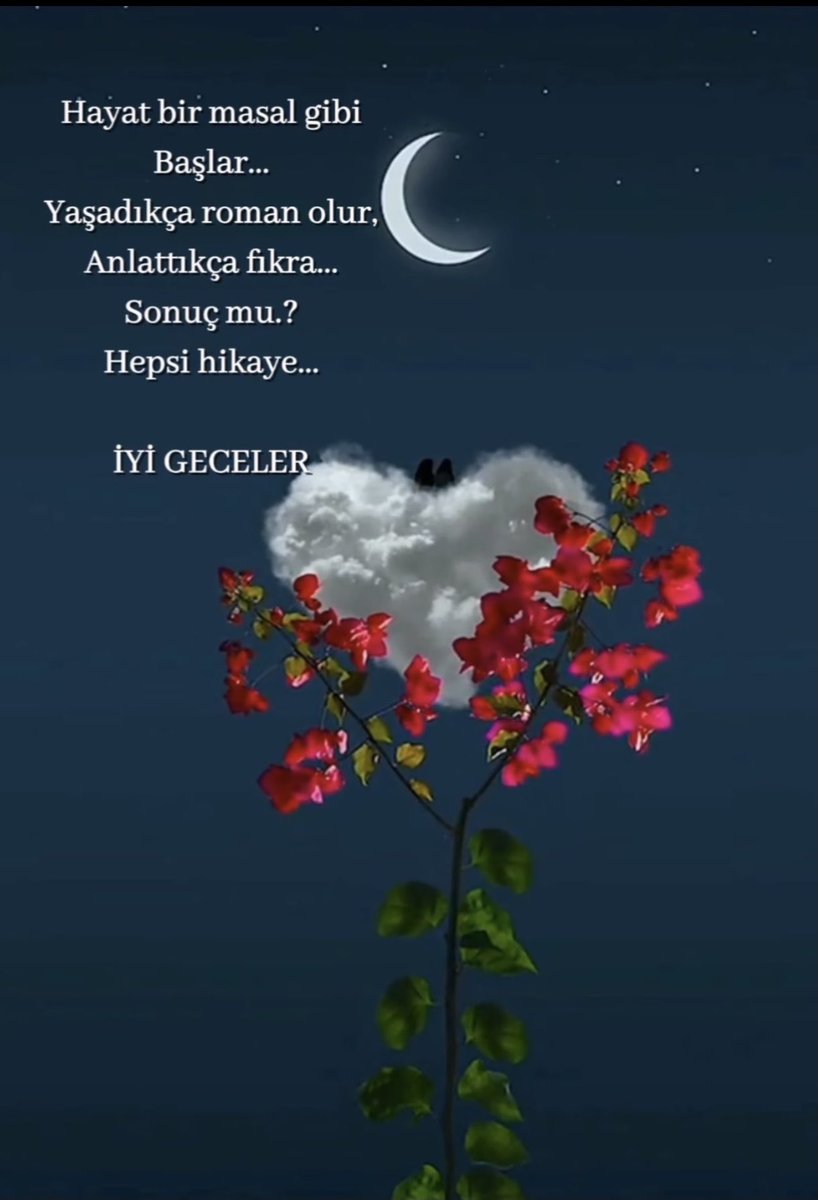 🌹🌿Kader 🌹🌿 tweet media