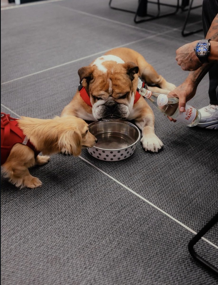 ❤️‍🩹❤️‍🩹