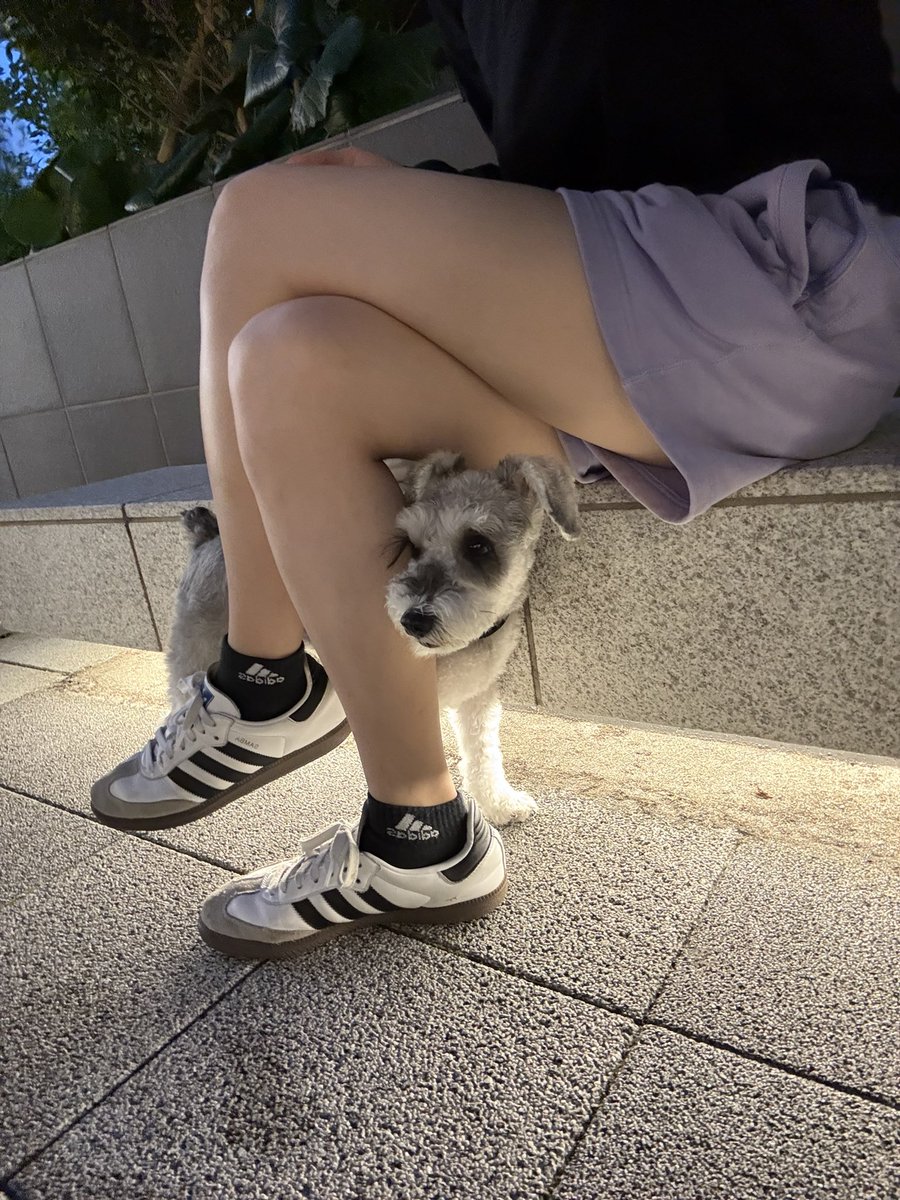 周りが騒がしくて怖いから、ママの足に隠れてる犬🐾💖