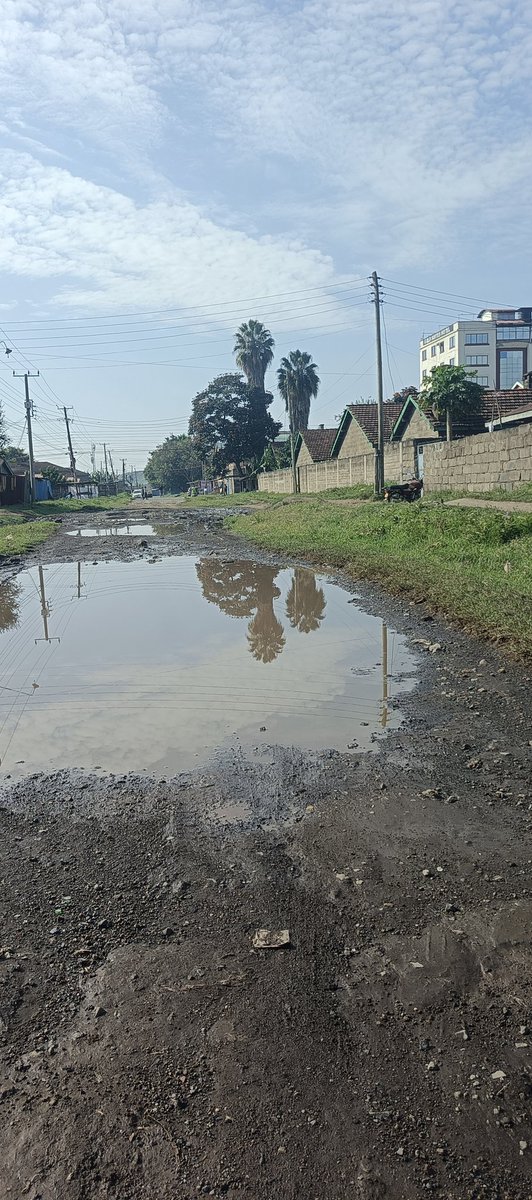 Hello Governor <a href="/susankihika/">Susan Kihika</a>. This is a section of Uhuru Street. It connects Kariba Road and Kanu Street. It has been like this for over a year now. I know you already know about its state. Why you haven't found it necessary to fix it is what I don't know. Consider this a notice!