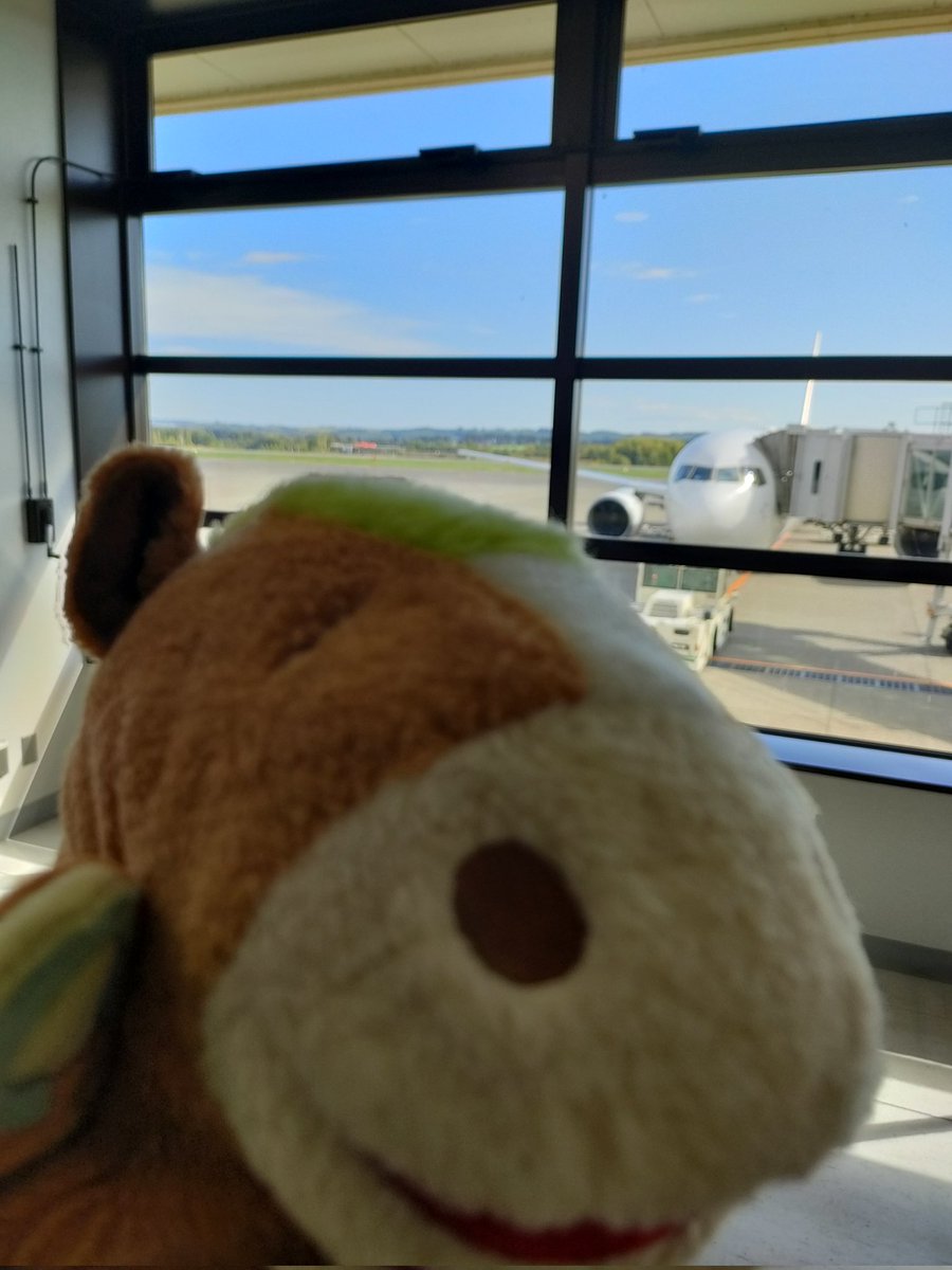 okebanbakun's tweet image. そしてあっという間に〜
飛行機にとうじょう〜
もうすぐボクも〜
機上のおけばんばくんだば〜ん
#置戸町
#ゆるキャラ
#おけばんばくん