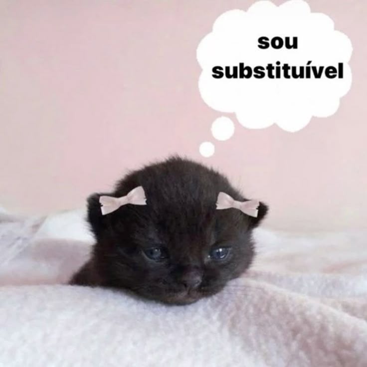 animaisfrases_'s tweet image. 