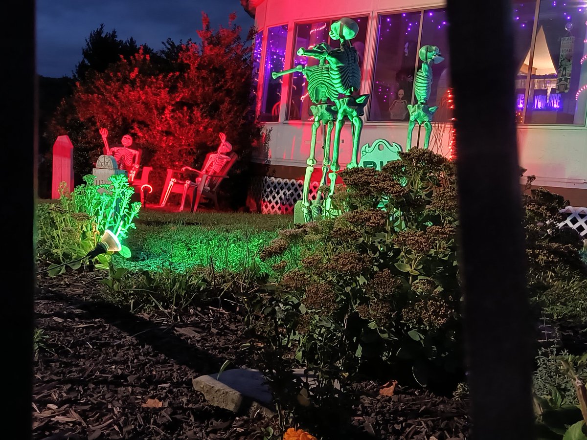 ThatHouseInMars's tweet image. A sneak peek