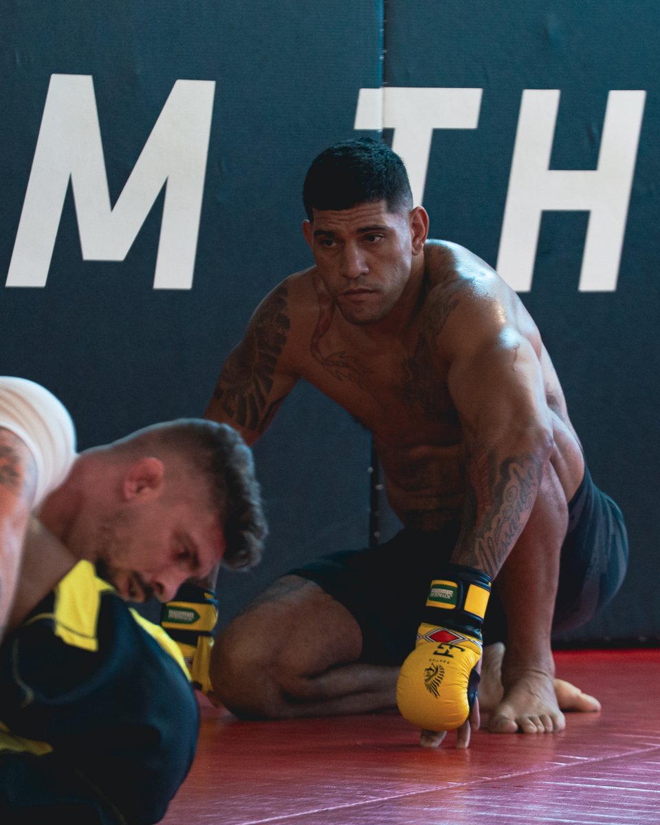 9 Days ⏳🏹

<a href="/AlexPereiraUFC/">Alex "Poatan" Pereira</a> looks to reclaim the light heavyweight title at #UFC320!
