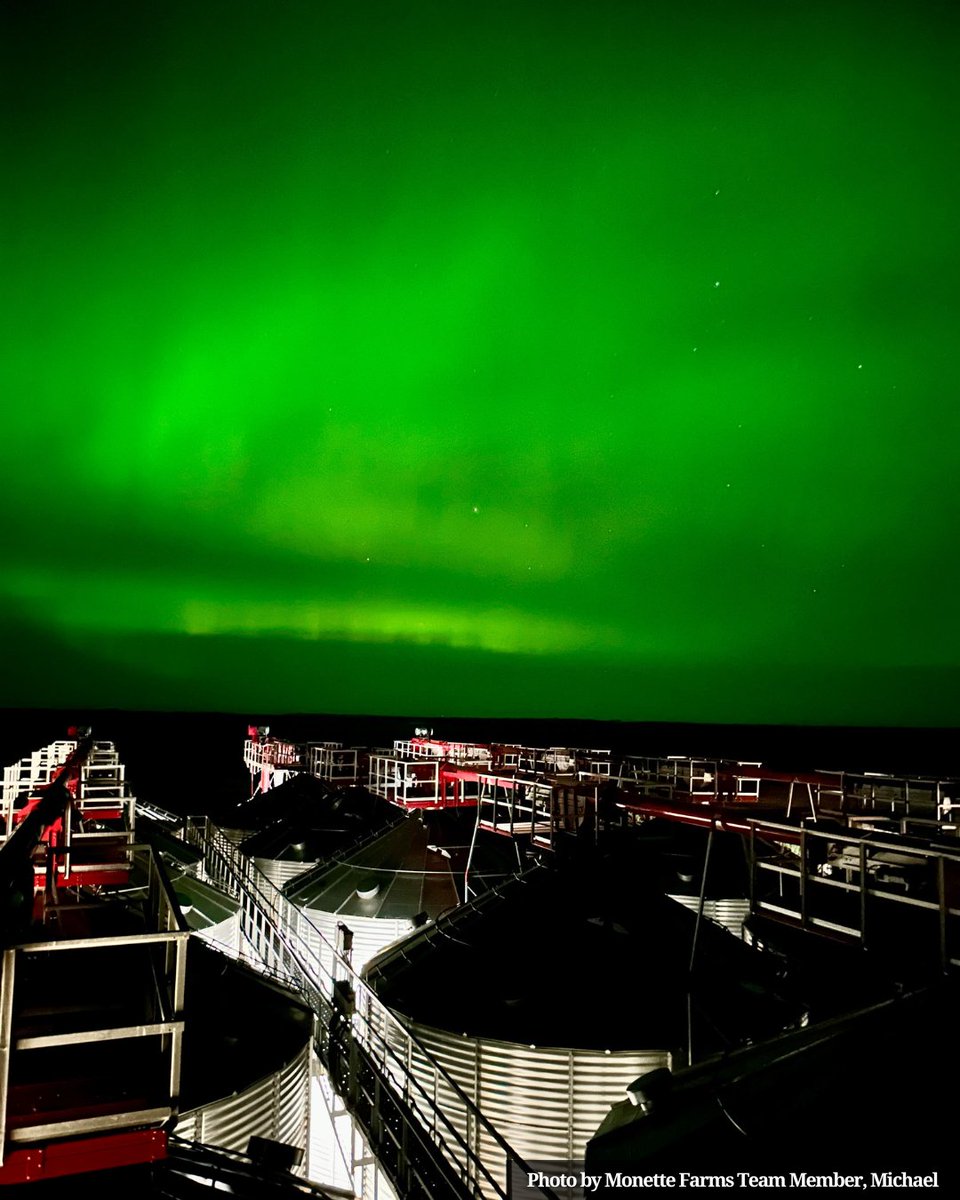 Thanks for the light show the other night, Hafford. 🙌