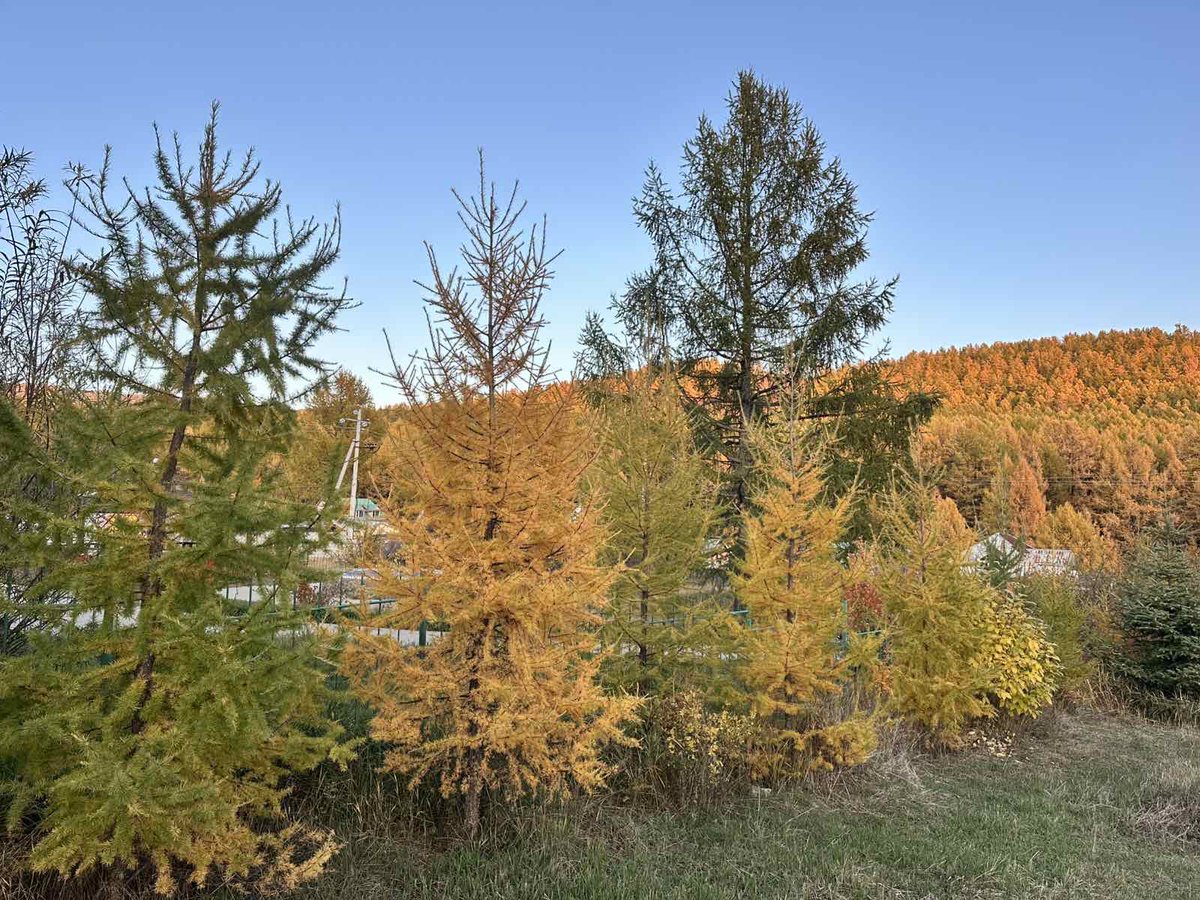 Гэгээн өглөөний мэнд🥰